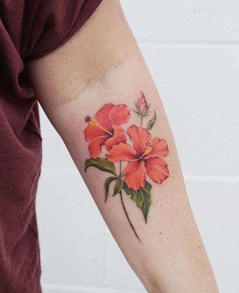 Hibiscus Rose Tattoo, Orange Hibiscus Tattoo, Colorful Hibiscus Tattoo, Hibiscus Shoulder Tattoo, Hibiscus Tattoo Color, Tattoo Money, Hibiscus Flower Tattoos, Sketchy Tattoo, Florida Tattoos