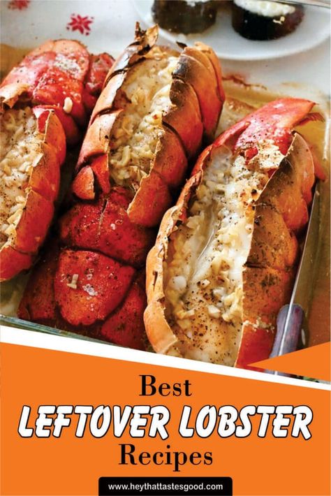 Wanna discover some best leftover lobster recipes? Well, you have come to the right place! Make your leftover lobster tasty like when they are fresh with these recipes! Lobster Leftovers Recipe, Leftover Lobster Recipes, Healthy Lobster Recipes, Leftover Lobster, Mac And Cheese Pie, Lobster Dip, Lobster Pizza, Lobster Chowder, Lobster Recipe