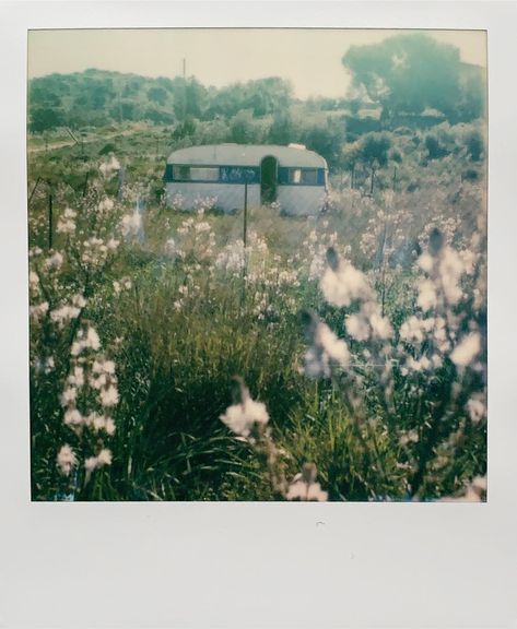 • lovers of utopia lies • on Instagram: “• i’m in there #polaroid #sx70” Polaroid Pics, Polaroid Photography, Instant Photography, Wallpaper Project, Vintage Polaroid, Polaroid Pictures, Polaroid Photos, Instant Film, Nature Aesthetic