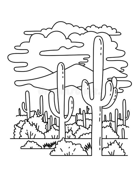 Line Drawing Art, Saguaro National Park, Southern Arizona, Line Art Drawing, Drawing Drawing, States In America, Diary Ideas, Art Line, Line Illustration