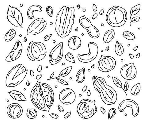 Nuts and Seeds linear set of icons, Doodle style Nuts Doodle, Nuts Drawing, Nuts Illustration, Nut Illustration, Icons Doodle, Letter Tracing Printables, Fruit Doodle, Animal Illustration Kids, Flexible Packaging