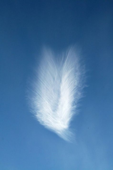 Angel wing cloud.      Spiritual Connection can come in many forms. As you work with your Spirit Guides, Angels or other Deity, you will find they have favorite ways of connecting with you and will use those ways most of the time so that you... Angel In The Sky, Angel Clouds, Angel Signs, I Believe In Angels, Archangel Raphael, Archangel Gabriel, Spirit Guide, Ange Demon, Angels Among Us