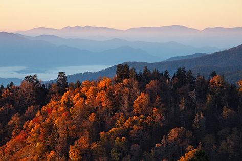 Gatlinburg Fall, Gatlinburg Attractions, Fall Foliage Map, Smoky Mountains Vacation, Indoor Pools, Virtual Field Trips, Autumn Foliage, Mountain Vacations, National Parks Usa