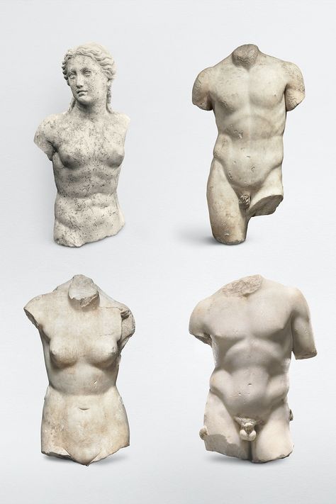 Roman Woman Statue, Male Greek Statue, Male Torso Sculpture, Greek God Sculptures, Nude Statue, Male Statue, Woman Torso, Torso Sculpture, Human Body Model