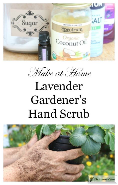 Lavender Gardener's Scrub-9 Lavender Hand Scrub, Gardeners Hand Scrub, Scrubs Diy, Hand Scrub Diy, Hand Scrub Homemade, Essential Oil Lip Balm, Scrub Recipe Diy, Scrub Diy, Scratch Recipes