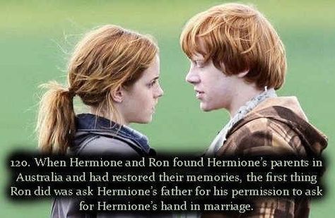 100 Things You Didn't Know About Harry Potter Hermione's Parents, Marauders Slytherin, Granger Hermione, Hermione Draco, Men Humor, Ron Y Hermione, Headcanon Harry Potter, Slytherin Harry, Citate Harry Potter