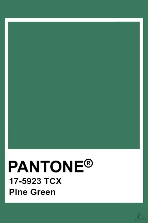 Pantone Pine Green Pine Green Color Palette, Christmas Green Color, Green Pantone, Pantone Tcx, Pantone Green, Pantone Color Chart, Pantone Swatches, Pantone Palette, Color Symbolism