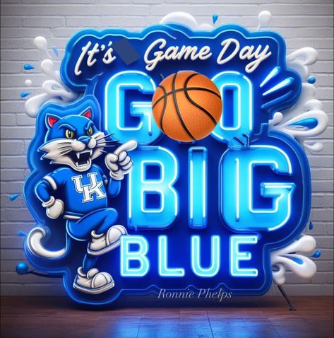 Kentucky Wildcats Basketball, Egyptian Cats, Kentucky Girl, Big Blue Nation, Uk Wildcats, Basketball Fans, Blue Bloods, Kentucky Wildcats, Window Art