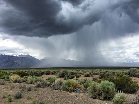 8 games for weather patterns, based on NGSS standards. Engage students with curricula games on the water cycle and weather patterns. Dragons Edge, Storm Photography, Earth And Space Science, Water Resources, Earth From Space, Vintage Poster Art, Disney Films, Desert Landscaping, Enchanted Forest