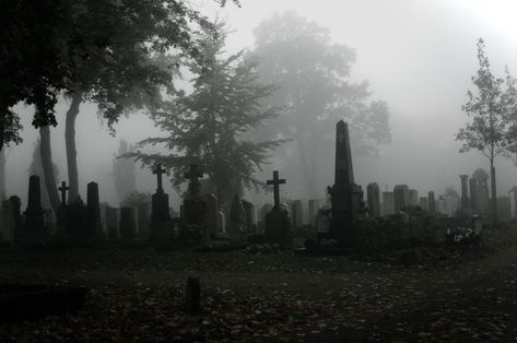 Southern Gothic, Gothic Aesthetic, Silent Hill, Goth Aesthetic, Graveyard, My Vibe, Dark Aesthetic, Cemetery, Me Core