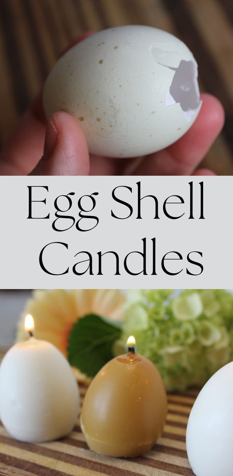 Beeswax and soy wax candles made using old egg shells. Tutorial with video included. Egg Shell Crafts, Craft For Spring, Egg Candling, Egg Candle, Shell Candles, Spring Craft, Egg Shell, Egg Crafts, Fun Craft