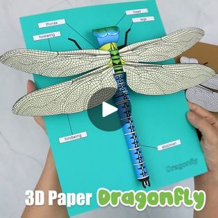 Paper Dragonfly Craft, Paper Dragonfly, Dragonfly Craft, Paper Dragonflies, Dragon Fly Craft, 3d Paper, The Craft, Template Printable, Paper Craft