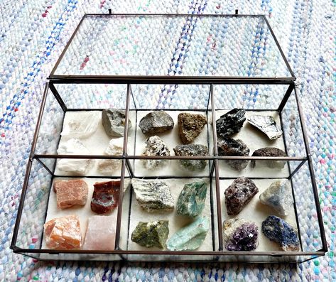 How to Stylishly Display a Small Rock Collection Crystal Display Ideas, Rock Collection Display, Displaying Crystals, Glass Display Case, Diy Display, Crystal Display, Glass Box, Glass Display, Rock Collection