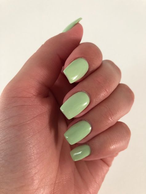 Went for a solid color this time 💚 Green Nails Solid Color, Short Square Nails One Color, Solid Gel Nail Color Ideas Short, Solid Color Nails Short Square, Solid Color Square Acrylic Nails, Summer Solid Nail Colors, Nails Inspiration Solid Color, Solid Square Nails, Simple Summer Nails Solid Color