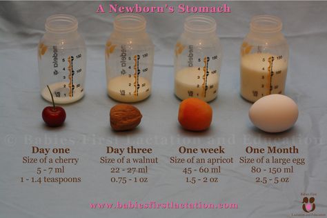 The Newborn's Stomach. Good reminder of what to expect while establishing breastfeeding and reassurance when you're worried about your supply. Baby Stomach Size, Newborn Stomach Size, Baby Advice, Private Practice, Common Questions, Baby Time, Everything Baby, Baby On The Way, Baby Health