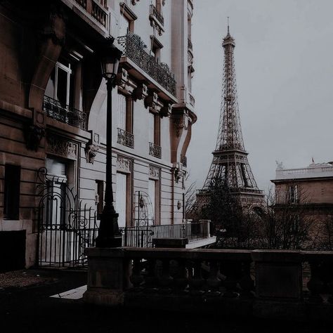 French Movies Aesthetic, Paradis Sombre, Lucy Foley, Immortals After Dark, The Paris Apartment, Aesthetic Gray, Anna And The French Kiss, French Aesthetic, French Movies