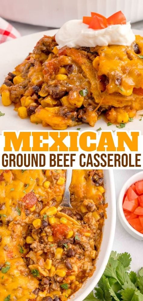 Mexican Food Ground Beef, Recipes With Corn Tortillas, Casserole Recipes Mexican, Ground Beef Casserole Recipes For Dinner, Ground Beef Corn Tortillas, Mexican Casserole With Beef, Casseroles With Ground Beef, Ground Beef Diced Tomatoes, Cassarole Meals