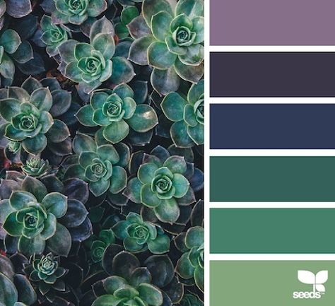 Design Seeds Succulent Color Palette, Color Palette Colour Schemes, Palette Colour Schemes, Inspiration Color Palettes, Seeds Color Palette, Monday Outfit, Seeds Color, Color Collage, Forest View