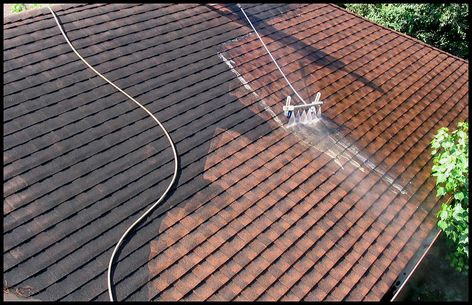 roof cleaning Roof Repair Diy, Roof Restoration, Pressure Washing Services, Cedar Roof, Tile Roof, Roof Maintenance, Asphalt Roof Shingles, Asphalt Roof, Roof Cleaning