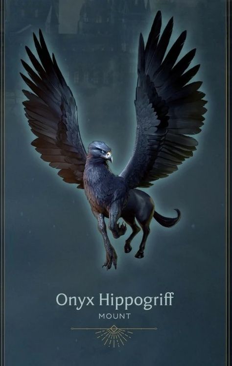 Black Hippogriff, Harry Potter Creatures, Harry Potter Dragon, Character Accessories, Weasley Harry Potter, Beast Creature, Hogwarts Legacy, Potter Art, Creature Artwork