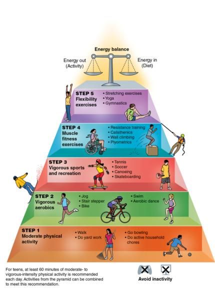 Physical Activity Pyramid, Malaysia Background, Cardiorespiratory Endurance, Exercise At Home, Muscular Endurance, School Health, Body Exercise, Healthy Body Weight, Exercise Yoga