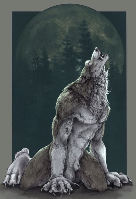 Werewolf Illustration, Werewolf Drawing, Alpha Werewolf, Werewolf Aesthetic, Werewolf Art, Vampires And Werewolves, Anime Wolf, Concept Art Drawing, Mythical Creatures Art