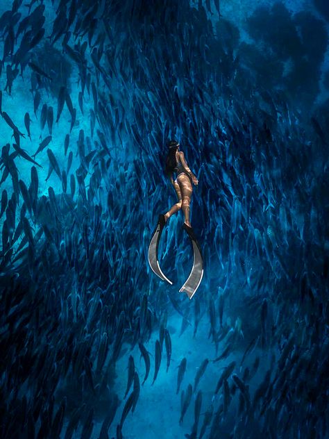 Free Diving Aesthetic, Model In Water, Diving Aesthetic, Sea Maiden, Bohol Philippines, Skin Diving, Swimming Fitness, Deep Sea Diving, Life Under The Sea