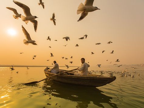 National Geographic Photo Contest, Robert Frank, Bird Migration, Row Boat, National Geographic Photos, Varanasi, Ponds, Photo Contest, Watercolor Landscape