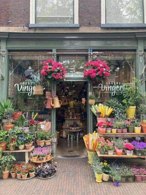 Small Flower Shop Exterior, Flower Shops Aesthetics, Bookstore Flower Shop, Floralist Aesthetic, Floristry Aesthetic, Flower Shop Aesthetic Vintage, Flower Shop Exterior Store Fronts, Flower Shop Outside, Florist Aesthetic Outfits