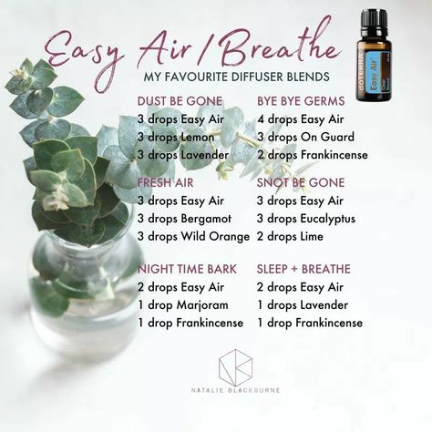 Air Diffuser Blends, Essential Oils Allergies, Doterra Oils Recipes, Doterra Blends, Diffuser Oils, Essential Oils For Babies, Doterra Diffuser Blends, Doterra Oil, Essential Oil Combinations