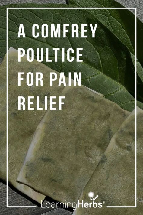 How to Make an Herbal Poultice with Comfrey – LearningHerbs How To Make A Poultice, How To Use Comfrey Leaves, Comfrey Oil How To Make, Diy Comfrey Salve, Poultice For Inflammation, Comfrey Compress, Poultice Recipes, Potato Poultice, Comfrey Salve Recipe