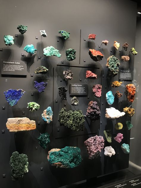 Rock Collection Wall Display, Geode Display Rock Collection, Displaying Rocks, Rock Display Ideas, Minerals Aesthetic, Rock Storage, Rock Collection Storage, Geology Aesthetic, Crystal Collection Display