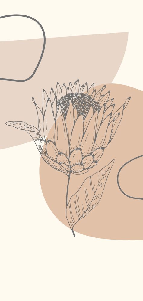 Protea Wallpaper, Protea Line Drawing Tattoo, Protea Outline, Protea Flower Illustration, Protea Line Drawing, Protea Background Wallpapers, King Protea, Protea Flower, Ring Designs