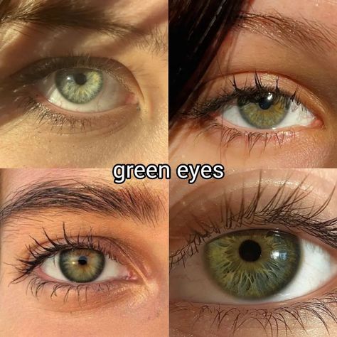 what is the colour of your eyes? ♡ follow @jeonrencia for more! 🍂 ✧₊˚. Green Eyes Vision Board, Green Eyes Aesthetic, Pretty Eyes Color, Eye Colours, Human Sacrifice, Beautiful Eyes Color, Eyes Color, Vision Eye, Ronaldo Cr7