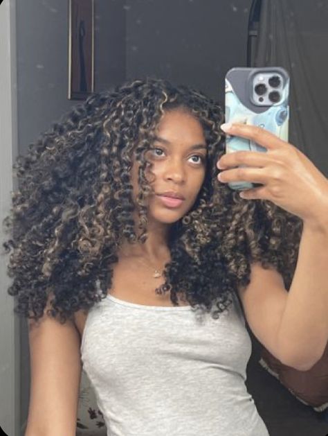 Curly Hairstyles For Black Women Highlights, Lowlights On Natural Hair, Natural Beige Highlights, Curly Highlights On Black Hair, Blonde Highlights On Brown Hair Short Curly, High Contrast Curly Hair, Highlighted Natural Curly Hair, Honey Brown Hair Curly Highlights, Curly Hair Highlight Ideas