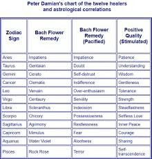 Bach Flower Remedies Chart, Bach Remedies, Floral Therapy, Bach Flowers, Subtle Bodies, Flower Remedies, Bach Flower Remedies, Flower Remedy, Beach Flowers