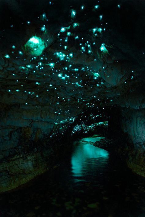 CUL_Uncharted_Nature_10 Waitomo Caves, Glow Worm Cave, Glow Worm, Terra Nova, Places In The World, Bucket List Destinations, Beautiful Places In The World, Green Aesthetic, Travel Bucket List