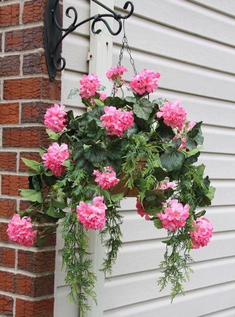 Flower Wall Decor Diy, Geranium Care, Pink Geranium, Boho Patio, Hanging Flower Baskets, Basket Liners, Diy Backyard Landscaping, Hanging Plant, Coconut Fiber