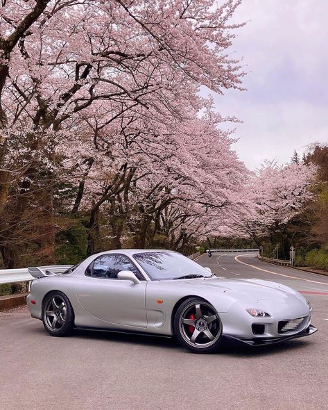 #JDM on Instagram: “Sakura szn baby 🌸 🚘 @fd3s_sea7 ••• #jdm #jdmcars #stancenation #jdmgram #jdmculture #jdmnation #jdmlife #jdmasfuck #jdmlifestyle #slammed…” Mazda Rx5, Rx7 Fd, Initial D Car, Jdm Wallpaper, Mazda Rx 7, Best Jdm Cars, Rx 7, Mazda Rx7, Mazda Miata