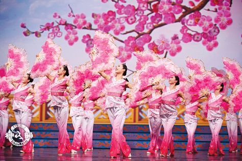 In Chinese culture, the plum blossom is a symbol of courage; it blooms in the midst of winter, braving frost and bitter cold, reminding us that even during the darkest hour, spring is just around the corner.  Photo: Plum Blossom, 2011. #dance Shen Yun Dancers, Chinese Fan Dance Art, Dance Of The Sugar Plum Fairy, Dunhuang Murals, Dynasty Warriors Zhao Yun, Chinese Dance, Chinese Fan, Fan Dance, Triangle Art