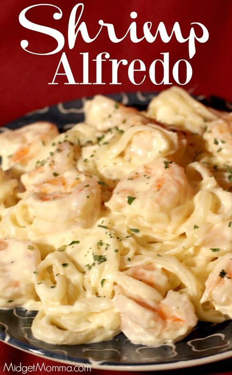 This Shrimp Alfredo is a family favorite in our house, seriously the kids ask me to make it just about every single week, they never get sick of it! This shrimp alfredo pasta is made with a copy cat Olive Garden Alfredo sauce that is amazing and tastes just like what you get when you eat at Olive Garden Olive Garden Alfredo Sauce Recipe Shrimp, Shrimp In Alfredo Sauce, Homemade Shrimp Alfredo Sauce, Olive Garden Shrimp Alfredo Recipe, Cream Of Shrimp Recipes, Olive Garden Shrimp Alfredo, Shrimp Pasta Alfredo, Recipes With Shrimp, Best Alfredo Sauce Recipe