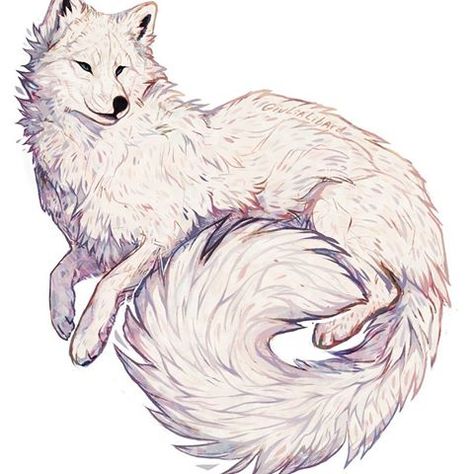 Winter coat arctic fox . Please do not repost, trace, reference or use my work in any way without credits or permission . #arcticfox #foxes #fox #winter Animal Artists, Fox Drawing, Art Fox, Canine Art, Pet Fox, Desenho Tattoo, Arctic Fox, Anime Wolf, Fox Art