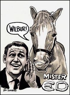 Mister Ed (palomino) and Alan Young, the final publicity photo before "Mister… Mr Ed, Mister Ed, Alan Young, The Company You Keep, The Mister, Hallmark Movie, Old Tv Shows, Shetland Sheepdog, Animal Projects