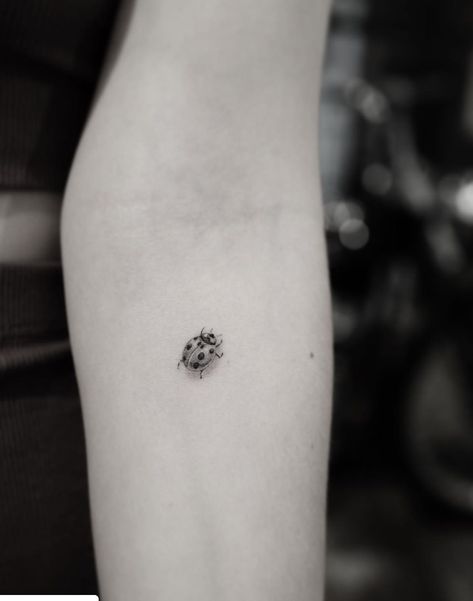 Black Bug Tattoo, Micro Ladybug Tattoo, Tiny Insect Tattoo, Ladybug Tattoo Small Simple, Lady Bird Tattoo, Ladybug Tattoo Black And White, Delicate Tattoo Ideas, Ladybird Tattoo, Ladybug Tattoo