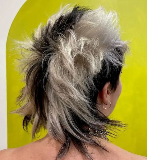 Skunk Stripe Mullet, Pokemon Haircut, Hyena Hairstyle, Skunk Mullet, Skunk Stripe Short Hair, Racoon Tail On Curly Hair, Short Hair Skunk Stripe, Blonde Hair With Raccoon Tail, Black And Blonde Mullet