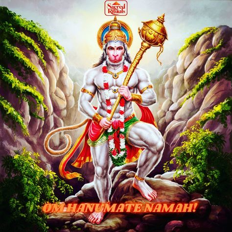 Heartfelt congratulations and best wishes to the devotees on the first Tuesday of Jyeshtha month, 'Bada Mangal'! Prayers to the mighty trouble reliever Lord Hanuman to endow everyone with strength, intellect, knowledge, and health. Celebrating the auspicious 'Bada Mangal' of Jyeshtha month with Sacred Rituals. Wishing strength, wisdom, and wellness to all. Om Hanumate Namah! Om Hanumate Namah, Congratulations And Best Wishes, Lord Hanuman, Best Wishes, The Mighty, Health, Quick Saves