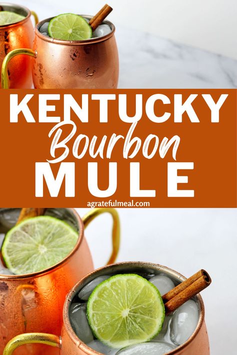 Wild Turkey Bourbon Cocktails, Bourbon Mule, Superbowl Cocktails, Kentucky Mule, Wild Turkey Bourbon, Best Bourbon, Sweet Bourbon, Moscow Mule Cocktail, Moscow Mule Recipe