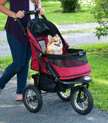 Large Front Door, Pet Trailer, Cat Stroller, Jogger Stroller, Pocket Cat, Pet Strollers, Multiple Dogs, Dog Stroller, Pet Stroller