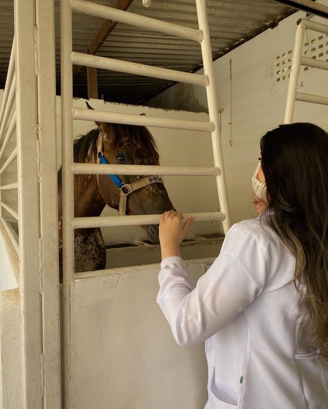 Equine Science Aesthetic, Equine Veterinarian Aesthetic, Equine Vet Tech, Veterinarian Aesthetic, Vet Aesthetic, Vet Pictures, Vet Office Decor, Vet School Motivation, Equine Vet