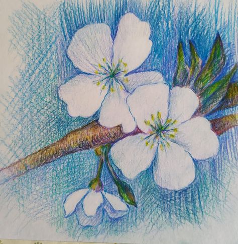 Colored Pencil Artwork Ideas Easy, Colored Pencil Art Easy Ideas, Watercolour Pencil Art, Colored Pencil Artwork Ideas, Color Pencil Sketch, Color Pencil Illustration, Crayon Drawings, Colored Pencil Artwork, Cocoppa Wallpaper